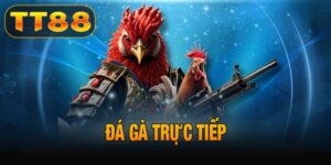 Đá gà trực tiếp TT88
