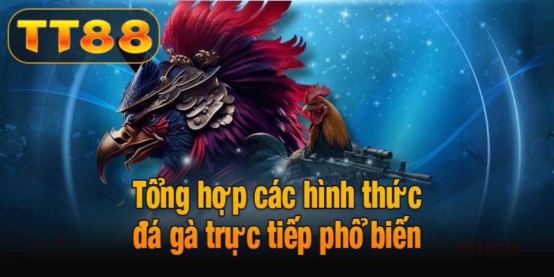 Tổng hợp các hình thức đá gà trực tiếp phổ biến tại TT88